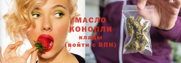 дживик Надым