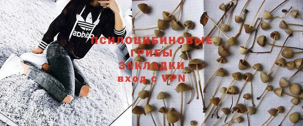 дмт Михайлов