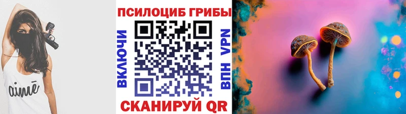 Купить где  Артём  Псилоцибиновые грибы MAGIC MUSHROOMS 